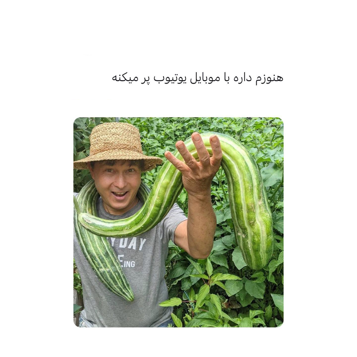 درآمد باغبانی در یوتیوب